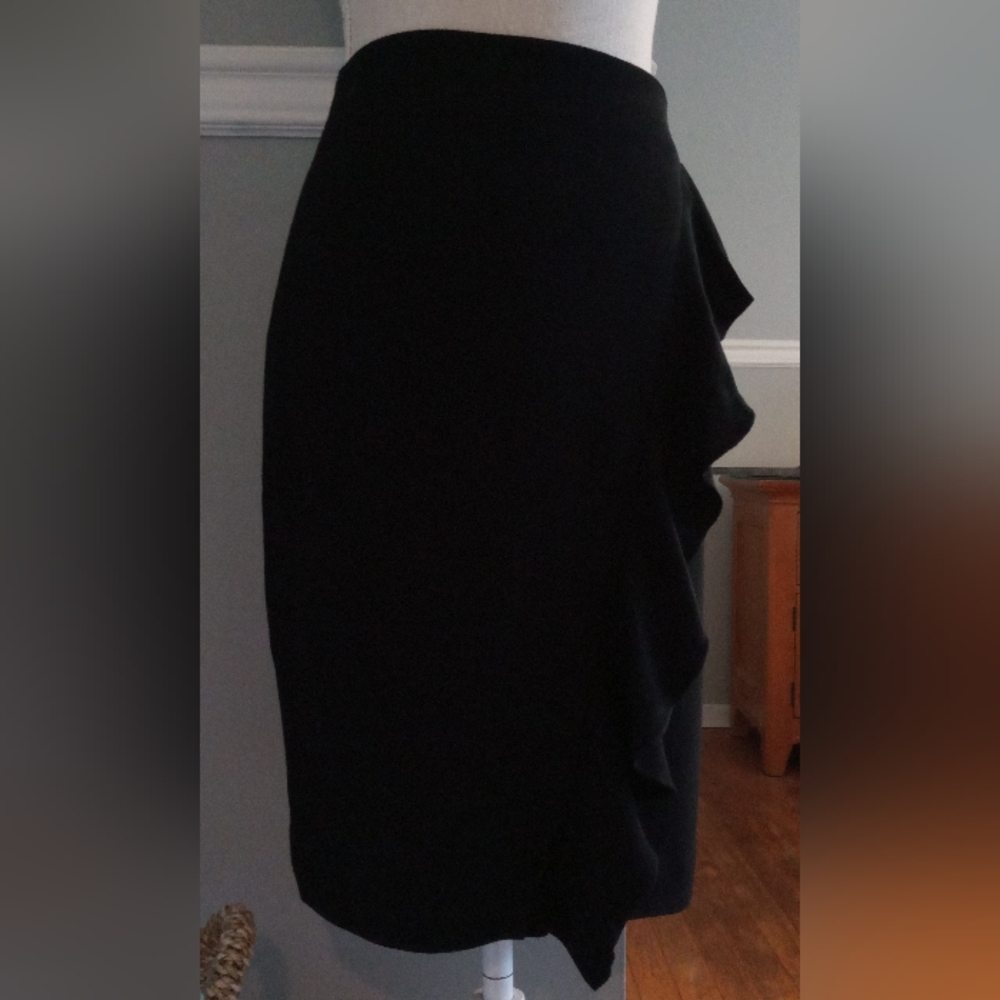 Banana Republic Skirt